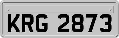 KRG2873