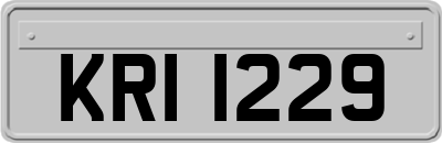 KRI1229
