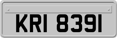 KRI8391