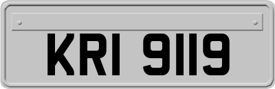 KRI9119