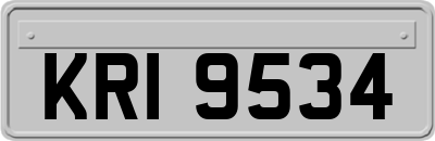 KRI9534