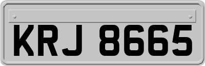 KRJ8665