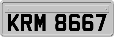 KRM8667