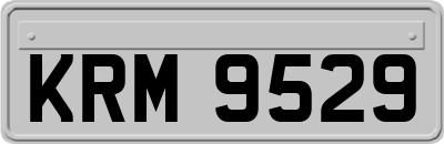 KRM9529