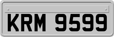 KRM9599