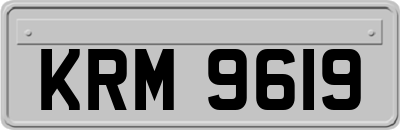 KRM9619