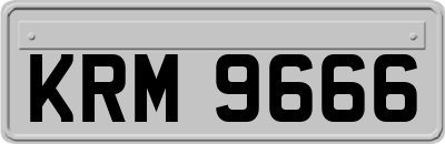 KRM9666