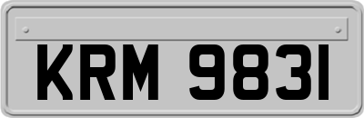 KRM9831