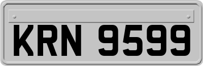 KRN9599