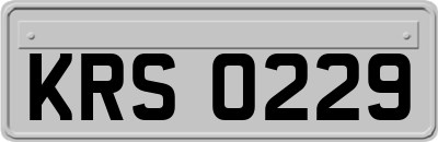 KRS0229