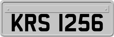 KRS1256