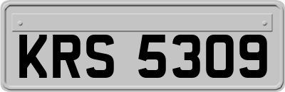 KRS5309