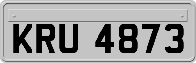 KRU4873