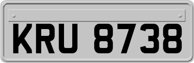 KRU8738