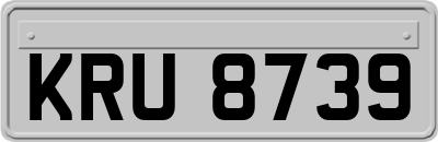 KRU8739