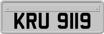 KRU9119
