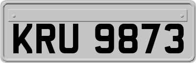 KRU9873