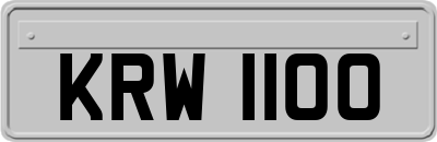 KRW1100