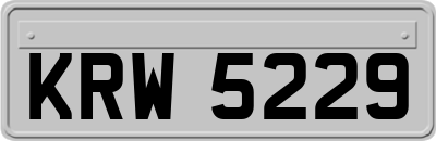 KRW5229