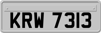 KRW7313