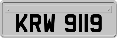 KRW9119