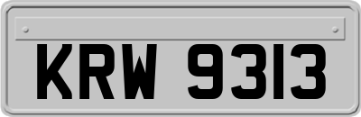 KRW9313
