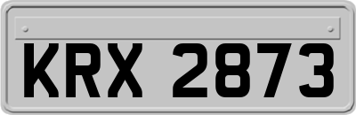 KRX2873