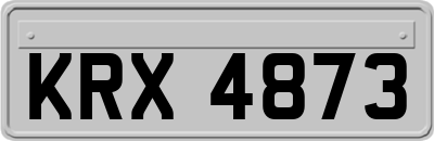 KRX4873