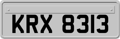 KRX8313