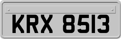 KRX8513