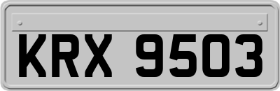 KRX9503