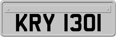 KRY1301