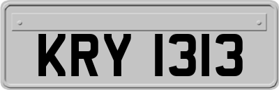 KRY1313