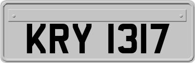 KRY1317