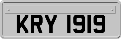 KRY1919