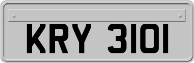 KRY3101