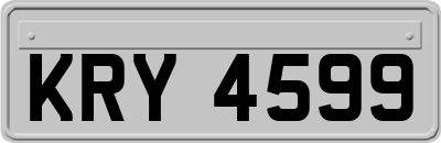 KRY4599