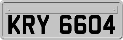 KRY6604