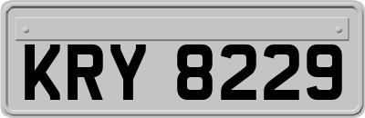 KRY8229