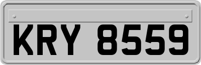 KRY8559