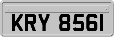 KRY8561