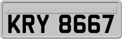 KRY8667