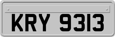 KRY9313