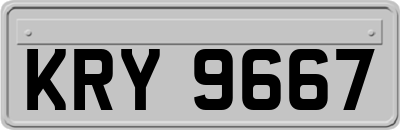 KRY9667