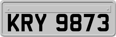 KRY9873