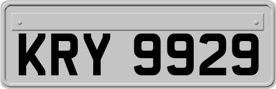 KRY9929