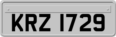 KRZ1729
