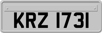KRZ1731