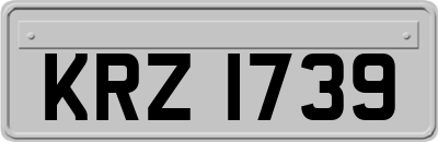 KRZ1739