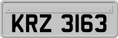 KRZ3163